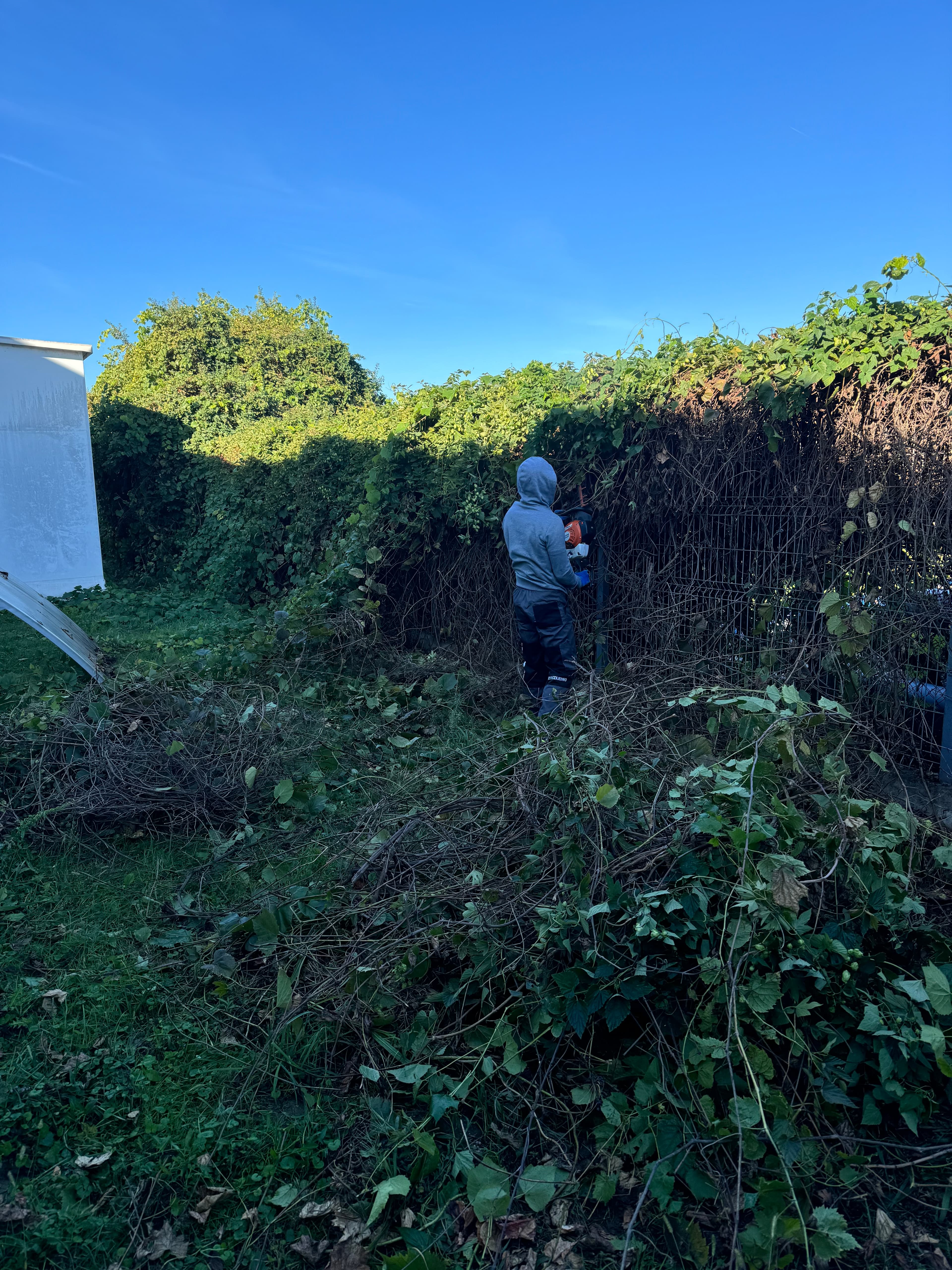 KRČENJE ZAPUŠTENIH TERENA